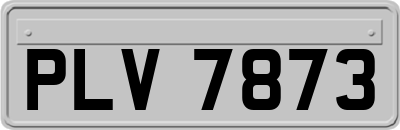 PLV7873