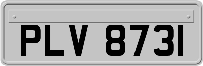 PLV8731