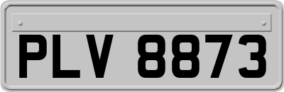 PLV8873