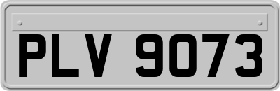 PLV9073