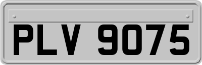 PLV9075