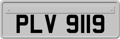 PLV9119