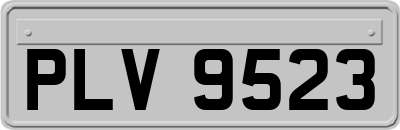 PLV9523