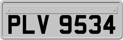 PLV9534