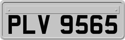 PLV9565