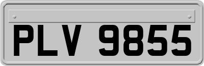 PLV9855