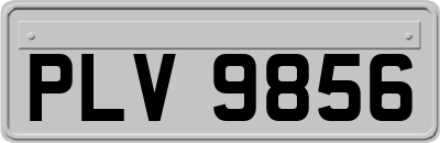 PLV9856