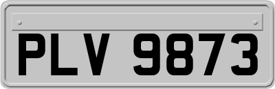 PLV9873