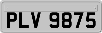 PLV9875