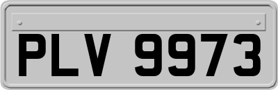 PLV9973