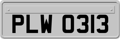 PLW0313