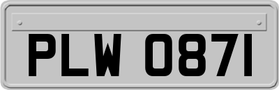 PLW0871