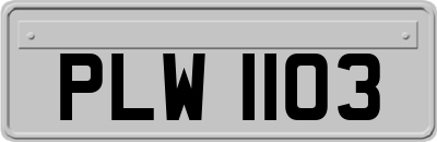 PLW1103