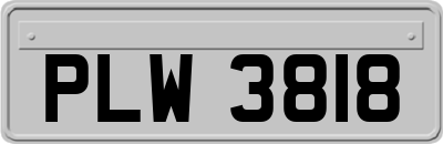 PLW3818