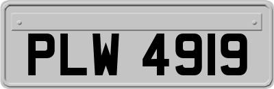 PLW4919