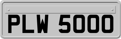 PLW5000