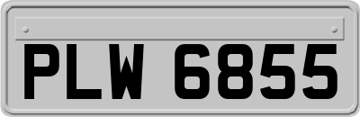 PLW6855