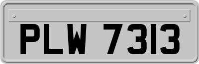 PLW7313