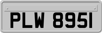 PLW8951