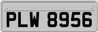 PLW8956