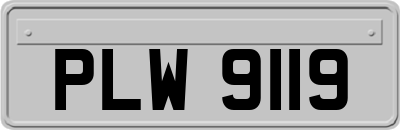 PLW9119