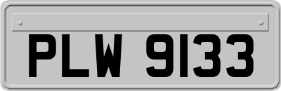 PLW9133