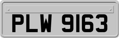 PLW9163