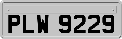 PLW9229