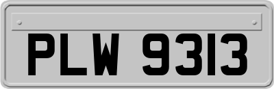 PLW9313