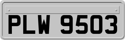 PLW9503