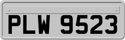 PLW9523