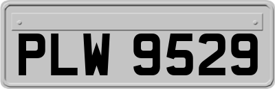 PLW9529