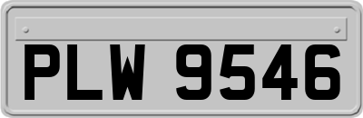 PLW9546