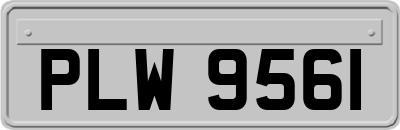 PLW9561