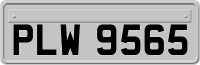 PLW9565