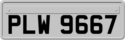 PLW9667