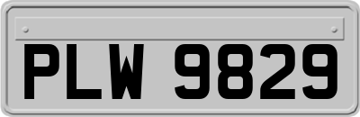 PLW9829