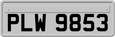 PLW9853