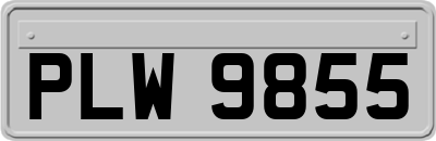 PLW9855