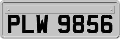 PLW9856