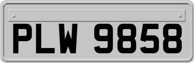 PLW9858