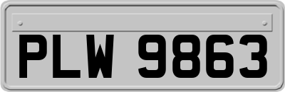 PLW9863