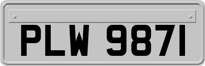 PLW9871