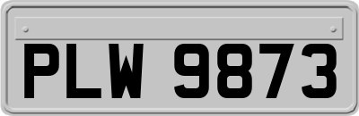 PLW9873