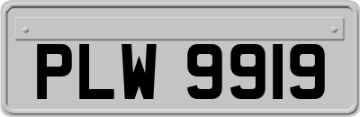 PLW9919