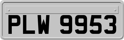 PLW9953