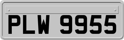 PLW9955