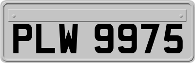 PLW9975