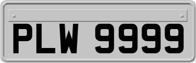 PLW9999