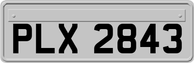 PLX2843